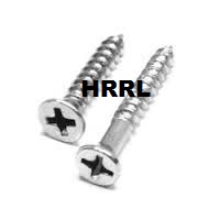 SS Philips Head Wood Screws